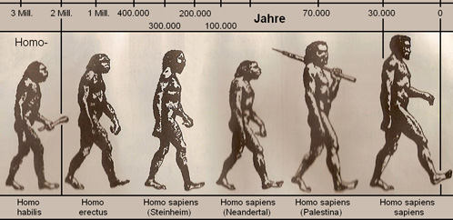 Homo liber картинки